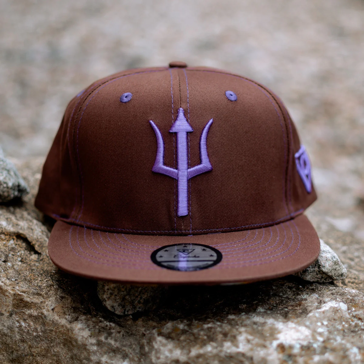 Argus Snapback - Brown/Purple Stitches - Image 9