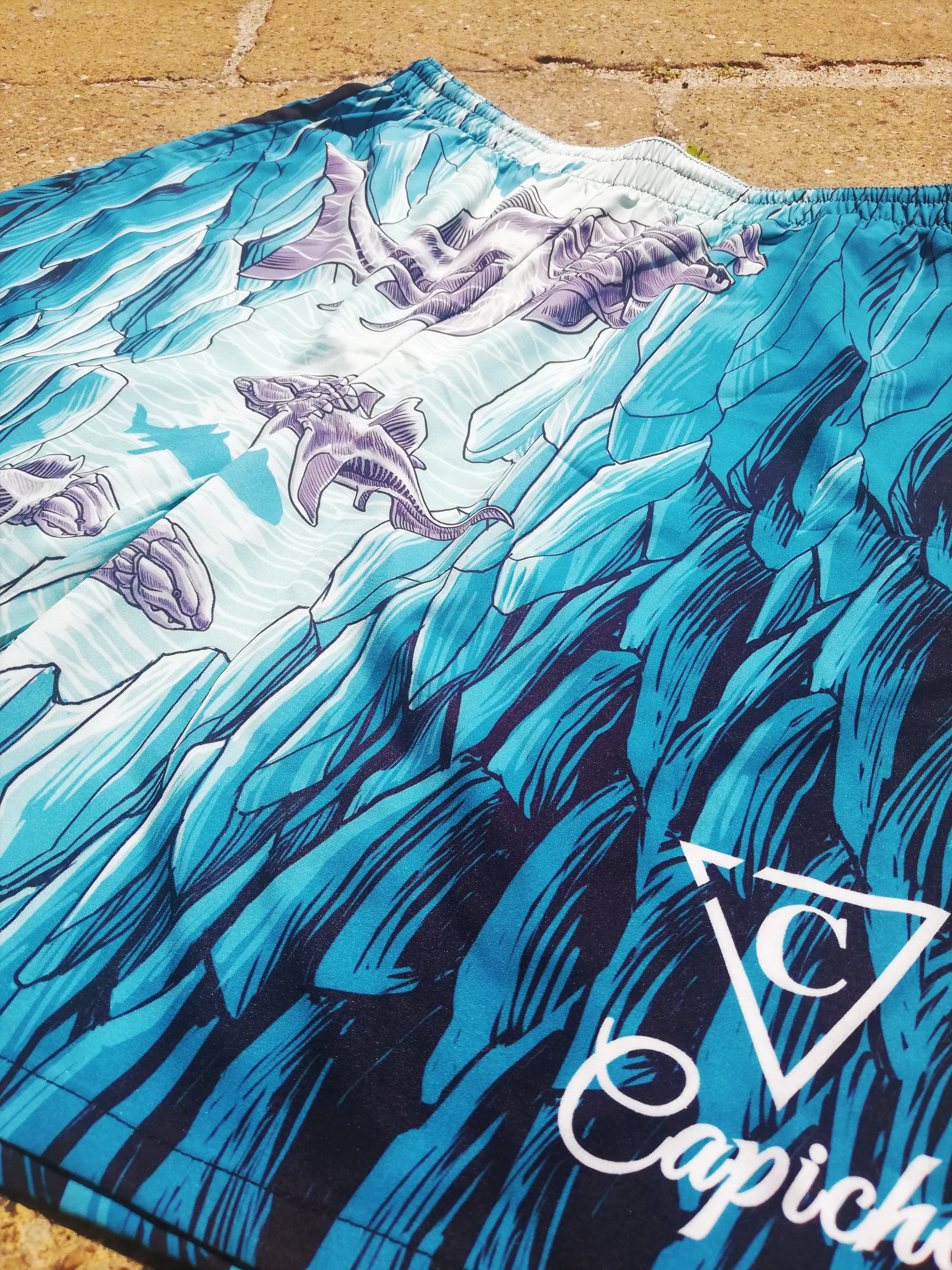 Dunkleosteus Swim Short - Blue - Image 7