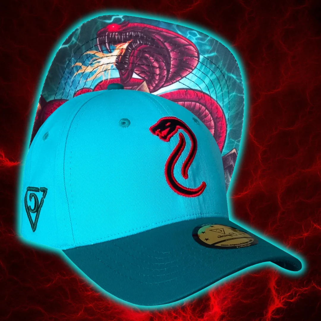 Fire Snake Curved Cap - Blue - Image 14